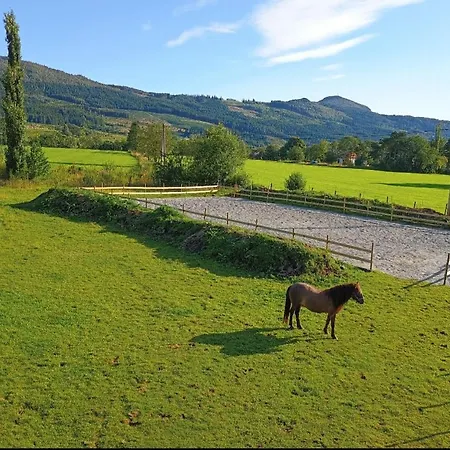Small Farm In Bjorheimsbygd, 30 Min From Preikestolen Feriehus