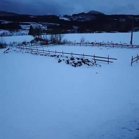 Small Farm In Bjorheimsbygd, 30 Min From Preikestolen Feriehus