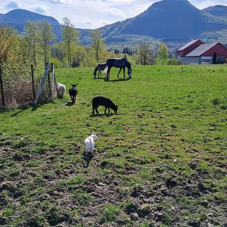 Small Farm In Bjorheimsbygd, 30 Min From Preikestolen * Jørpeland