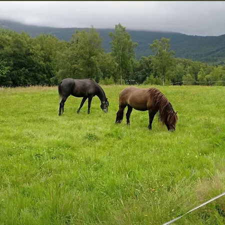 Holiday home Small Farm In Bjorheimsbygd, 30 Min From Preikestolen *