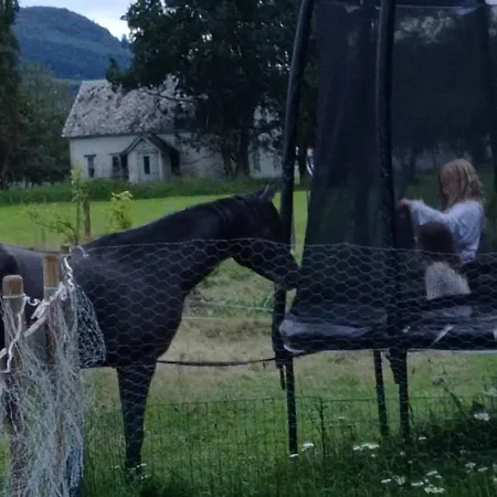 Small Farm In Bjorheimsbygd, 30 Min From Preikestolen Holiday home Jorpeland